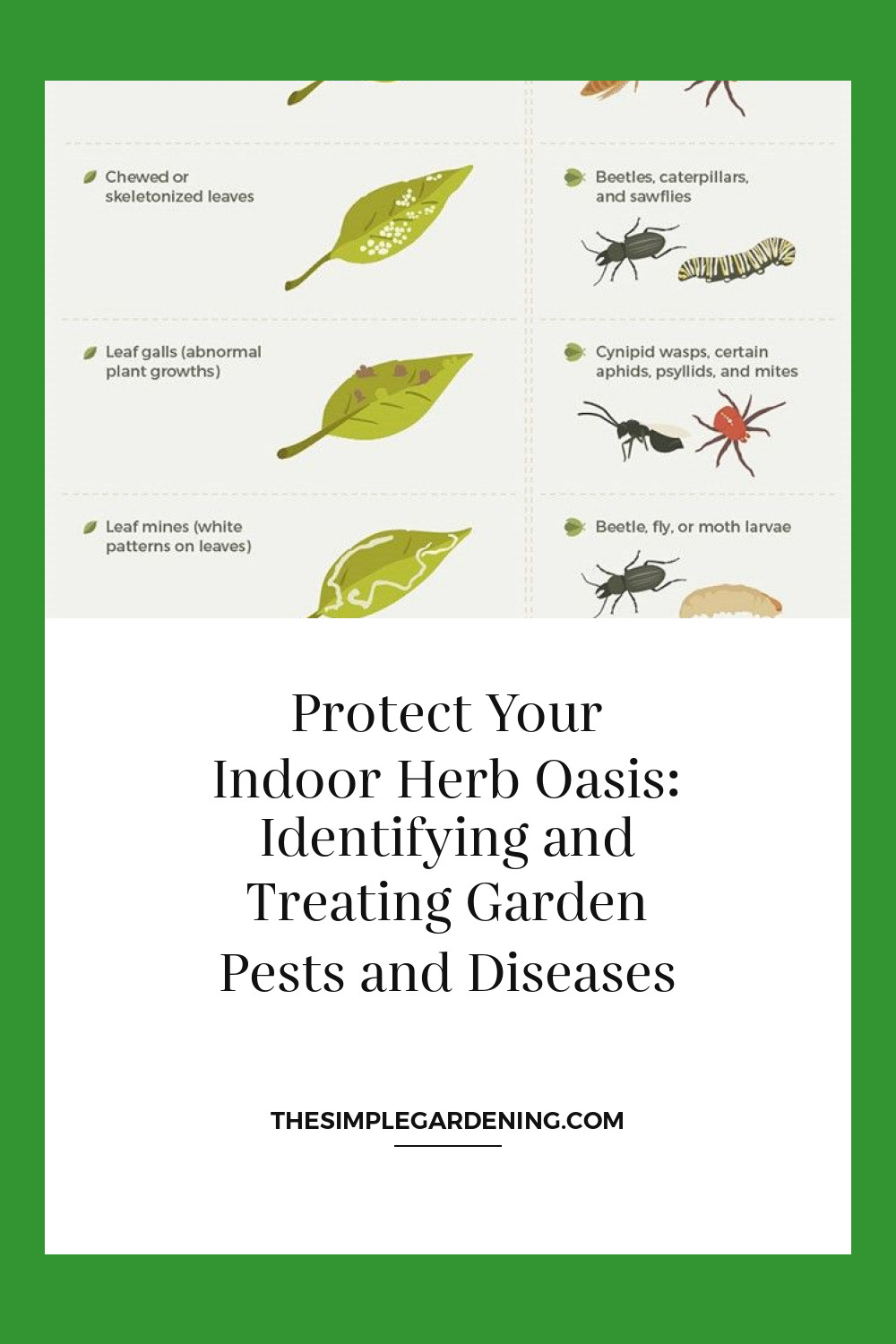 Protect Your Indoor Herb Oasis: Identifying and Treating Garden Pests and Diseases